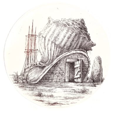migné-gravure-coquillage