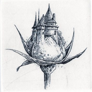Migné-gravure-château-rose