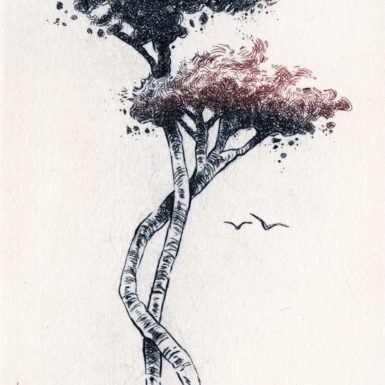 migné-gravure-arbre