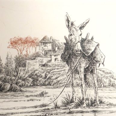 migné-gravure-âne-randonnée-littoral