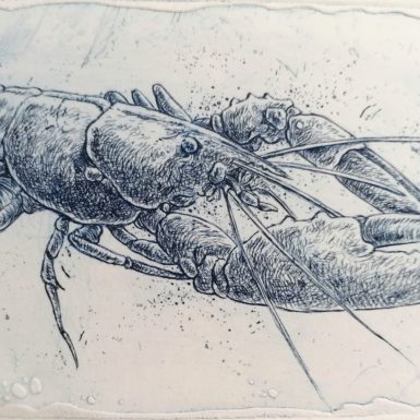 Migné-gravure-homard