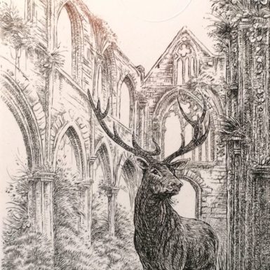 Migné-gravure-Beauport-cerf-abbaye-ruine